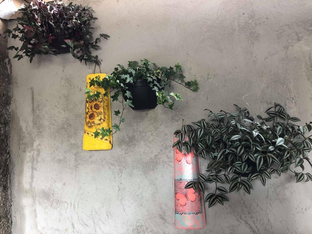 Casa Anexa Com Lareira Villa Campos do Jordão Kültér fotó